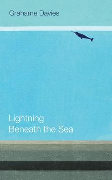 portada Lightning Beneath the Sea (in English)