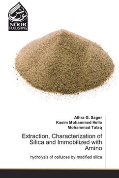portada Extraction, Characterization of Silica and Immobilized with Amino (en Inglés)