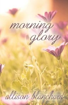 portada Morning Glory (en Inglés)