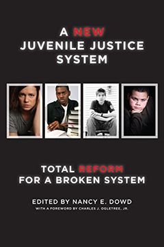 portada A New Juvenile Justice System: Total Reform for a Broken System (Families, Law, and Society)