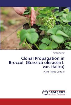 portada Clonal Propagation in Broccoli (Brassica oleracea l. var. italica): Plant Tissue Culture