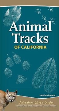 portada Animal Tracks of California (Adventure Quick Guides) (in English)