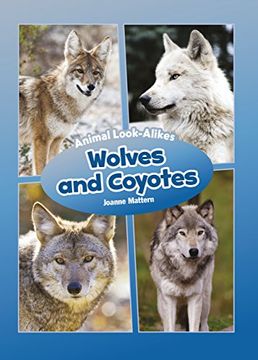 portada Wolves and Coyotes (Animal Look-Alikes)