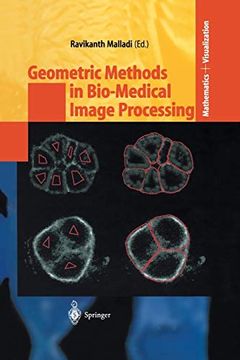 portada Geometric Methods in Bio-Medical Image Processing (Mathematics and Visualization) 