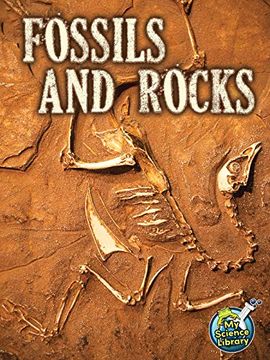 portada Fossils and Rocks (my Science Library) (en Inglés)