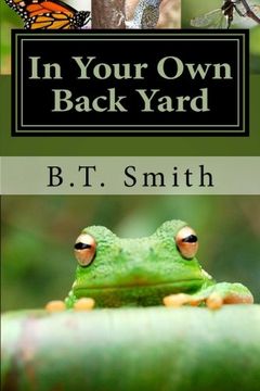 portada In Your Own Back Yard: Birds, Bees and Flys - Oh My!: Volume 1