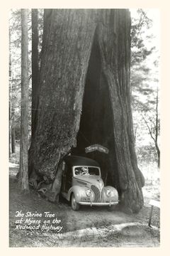 portada The Vintage Journal Car Driving through Redwood (en Inglés)