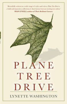 portada Plane Tree Drive (en Inglés)