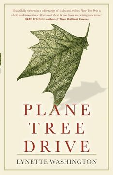 portada Plane Tree Drive