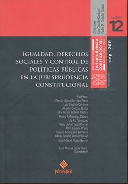 portada Igualdad Derechos Sociales y Control de Politica Publica en la Jurisprudencia Constitucional