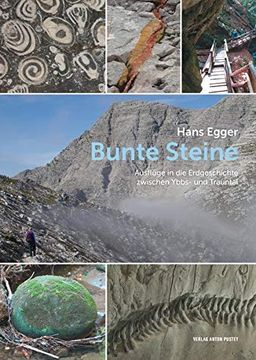 portada Bunte Steine: Ausflüge in die Erdgeschichte Zwischen Ybbs- und Trauntal (en Alemán)