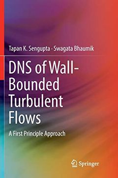 portada Dns of Wall-Bounded Turbulent Flows: A First Principle Approach (en Inglés)