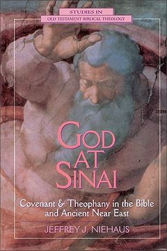 portada god at sinai: covenant and theophany in the bible and ancient near east (en Inglés)