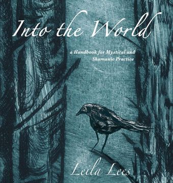 portada Into the World: A Handbook for Mystical and Shamanic Practice 