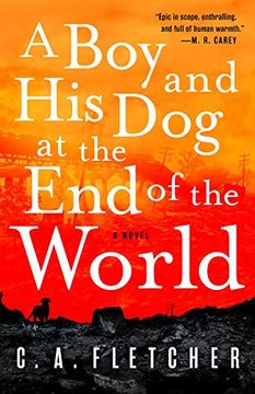 portada A boy and his dog at the end of the World: A Novel (in English)