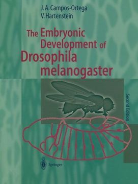 portada The Embryonic Development of Drosophila melanogaster