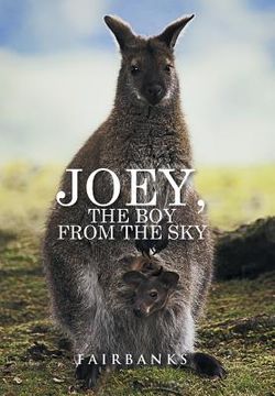 portada Joey, the Boy from the Sky (in English)