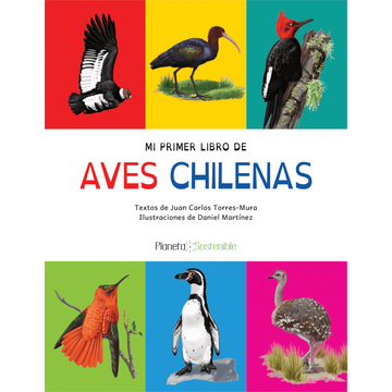 portada Mi Primer Libro de Aves Chilenas