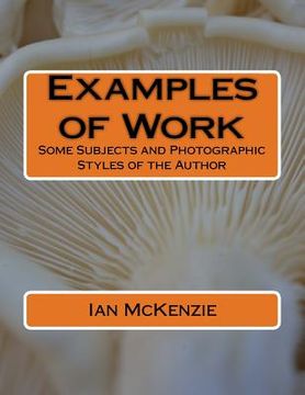 portada Examples of Work: Some Subjects and Photographic Styles of the Author (en Inglés)