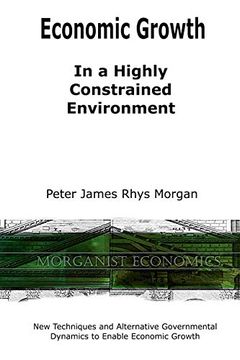 portada Economic Growth in a Highly Constrained Environment. (in English)