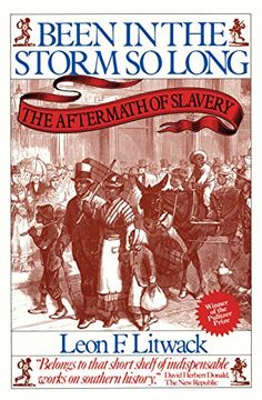 portada Been in the Storm so Long: The Aftermath of Slavery (en Inglés)