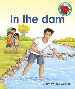 portada In the dam (Red Squirrel Phonics Level 1 set 2) (in English)