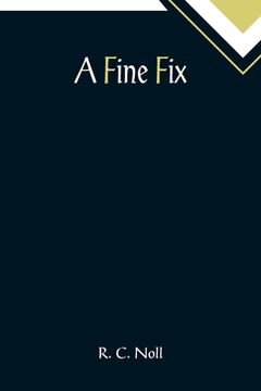 portada A Fine Fix (in English)