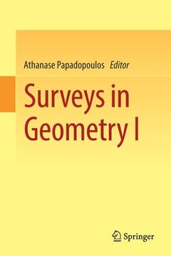 portada Surveys in Geometry I (in English)