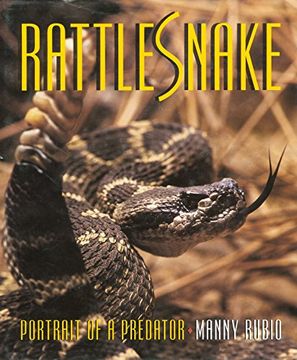 portada Rattlesnake: Portrait of a Predator (en Inglés)