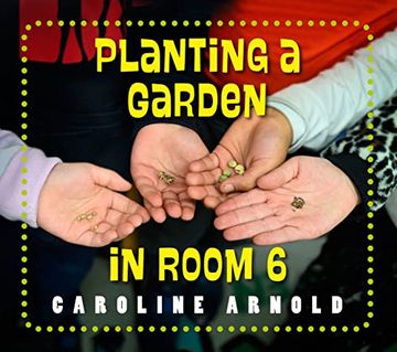 portada Planting a Garden in Room 6: From Seeds to Salad (Life Cycles in Room 6) (in English)