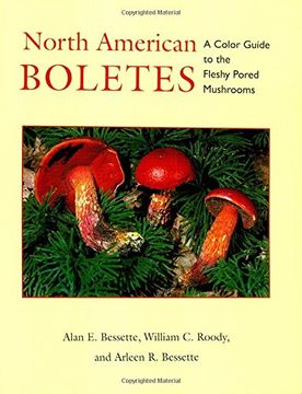 portada North American Boletes: A Color Guide to the Fleshy Pored Mushrooms 