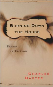 portada Burning Down the House: Essays on Fiction (en Inglés)
