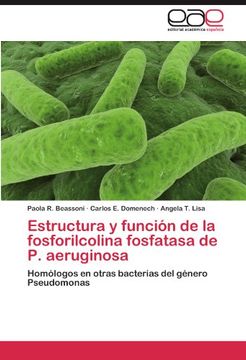 portada Estructura y Función de la Fosforilcolina Fosfatasa de p. Aeruginosa (in Spanish)
