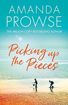 portada Picking Up the Pieces (in English)