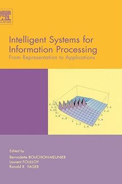 portada intelligent systems for information processing: from representation to applications (en Inglés)