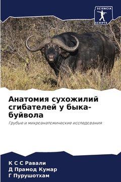 portada Анатомия сухожилий сгиб& (en Ruso)
