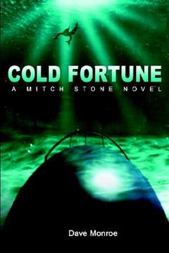 portada cold fortune: a mitch stone novel a mitch stone novel (en Inglés)