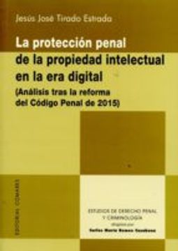 portada LA PROTECCION PENAL DE LA PROPIEDAD INTELECTUAL EN LA ERA DIGITAL (ANALISI