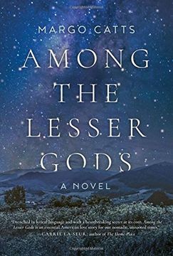 portada Among the Lesser Gods: A Novel