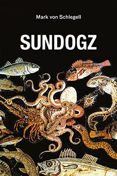 portada Sundogz (Semiotext(E) (en Inglés)