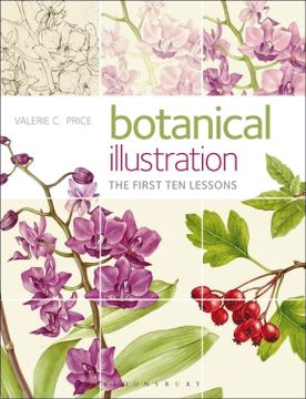 portada Botanical Illustration: The First ten Lessons (in English)