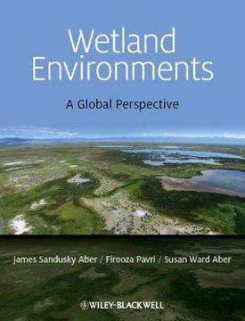 portada Wetland Environments: A Global Perspective (en Inglés)