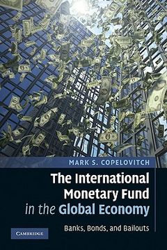 portada the international monetary fund in the global economy,banks, bonds, and bailouts
