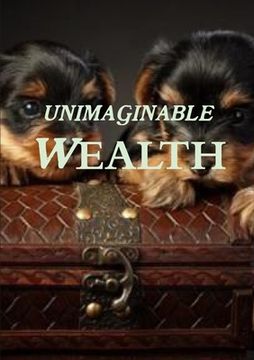 portada Unimaginable Wealth (en Inglés)