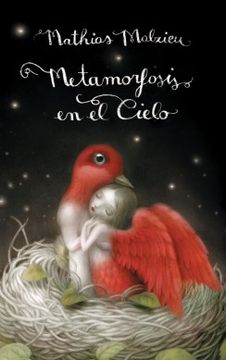 portada Metamorfosis en el Cielo (in Spanish)