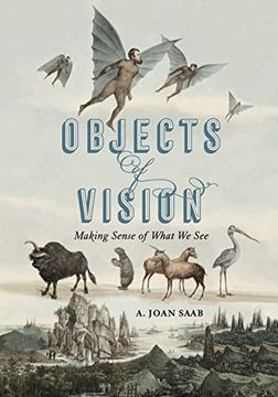 portada Objects of Vision: Making Sense of What we See: 3 (Perspectives on Sensory History) (en Inglés)