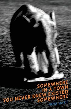 portada Somewhere in a Town You Never Knew Existed Somewhere (en Inglés)