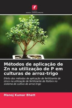 portada Métodos de Aplicação de zn na Utilização de p em Culturas de Arroz-Trigo