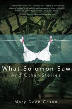 portada What Solomon Saw and Other Stories