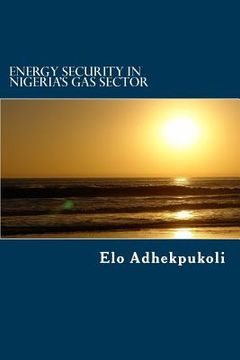 portada Energy Security In Nigeria's Gas Sector (en Inglés)